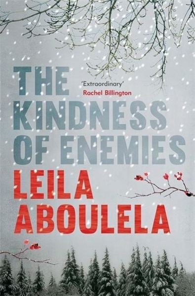 Produktbild: The Kindness of Enemies