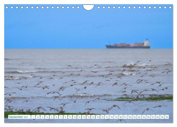 Produktbild: Schillig und Horumersiel - Im Wangerland unterwegs (Wandkalender 2027 DIN A4 quer), CALVENDO Monatskalender
