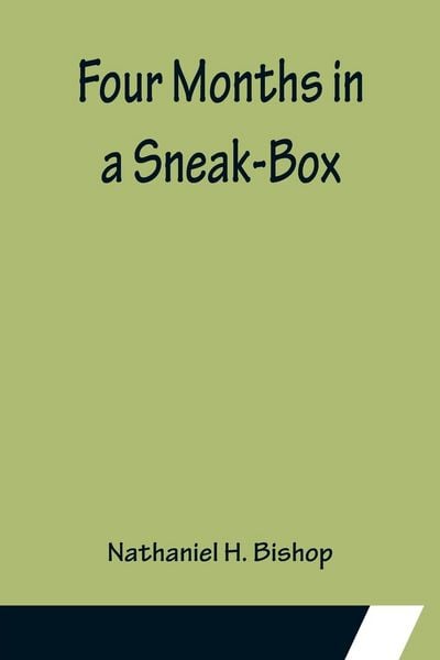 Produktbild: Four Months in a Sneak-Box