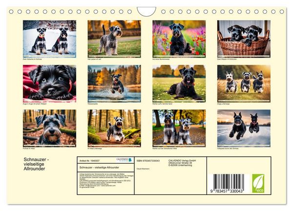 Produktbild: Schnauzer - vielseitige Allrounder (Wandkalender 2026 DIN A4 quer), CALVENDO Monatskalender