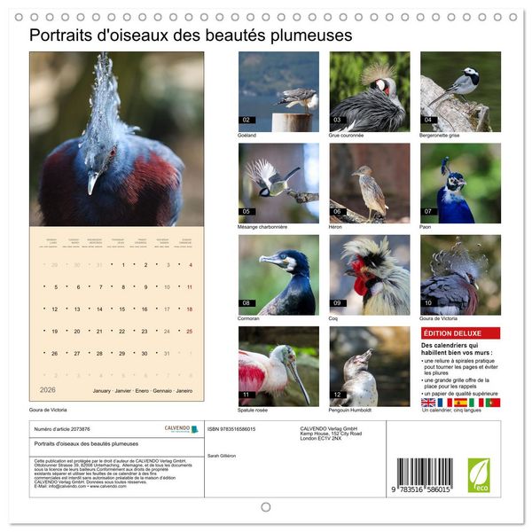 Produktbild: Portraits d'oiseaux des beaut&eacute;s plumeuses (Calendrier mural carr&eacute; 2026 30x30 cm) Calendrier double avec une page pour vos prises de notes