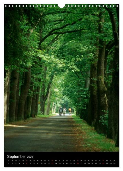 Produktbild: Wege 2026 (Wandkalender 2026 DIN A3 hoch), CALVENDO Monatskalender