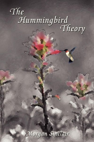 Produktbild: The Hummingbird Theory