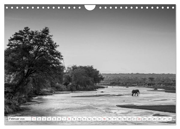 Produktbild: Emotionale Momente: Elefanten in black & white (Wandkalender 2026 DIN A4 quer), CALVENDO Monatskalender