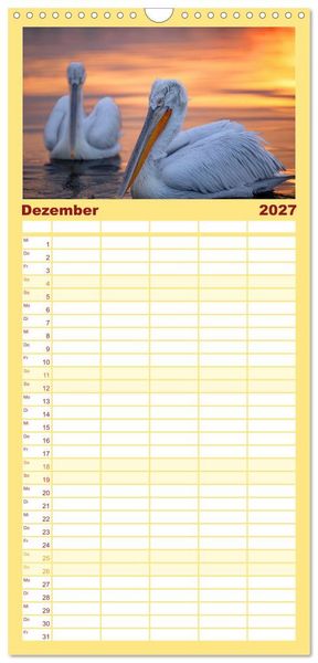 Produktbild: Familienplaner 2027 - Krauskopfpelikane mit 5 Spalten (Wandkalender, 21 x 45 cm) CALVENDO