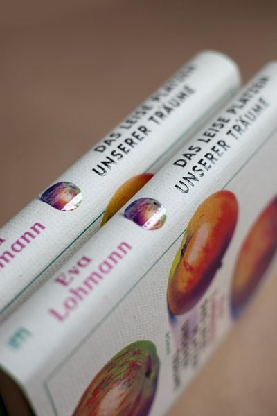 Produktbild: Das leise Platzen unserer Tr&auml;ume