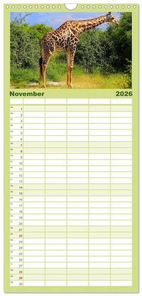 Produktbild: Familienplaner 2026 - Botswana- Pirschfahrt mit Garantie auf Wildlife mit 5 Spalten (Wandkalender, 21 x 45 cm) CALVENDO