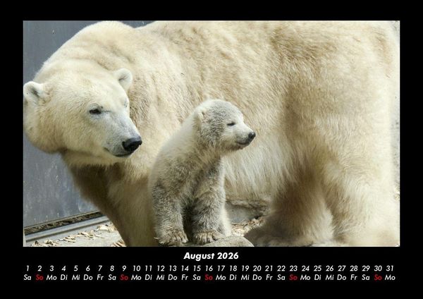 Produktbild: Tierkalender 2026 Fotokalender DIN A3