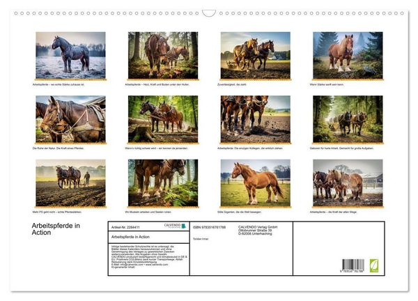 Produktbild: Arbeitspferde in Action (Wandkalender 2027 DIN A2 quer), CALVENDO Monatskalender