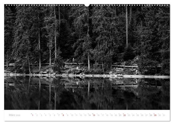 Produktbild: Mystischer Schwarzwald (hochwertiger Premium Wandkalender 2026 DIN A2 quer), Kunstdruck in Hochglanz