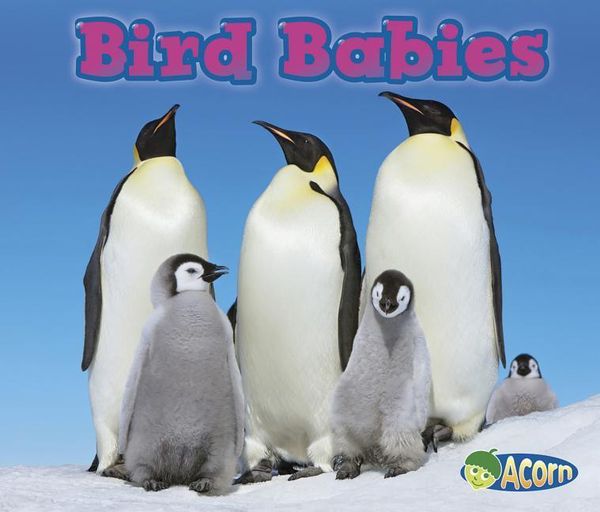 Produktbild: Bird Babies