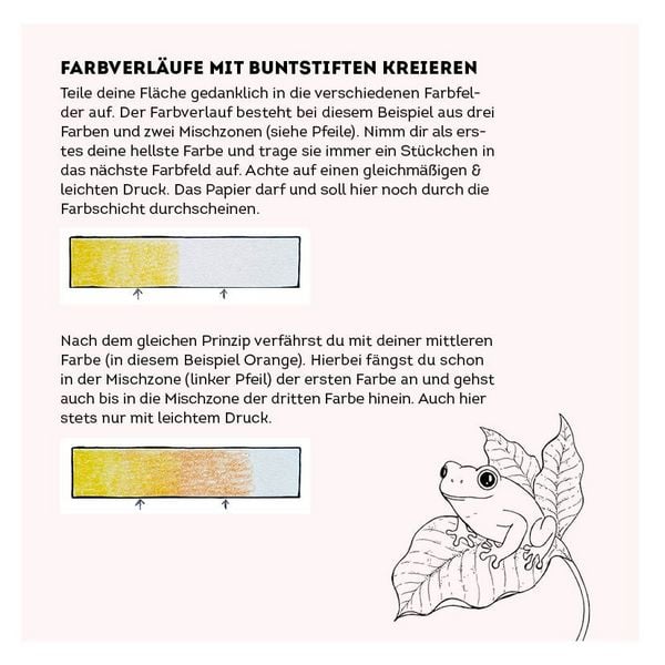 Produktbild: 333 Ausmalen &ndash;&nbsp;Wunder der Natur
