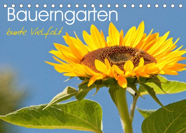 Produktbild: Bauerngarten - bunte Vielfalt (Tischkalender 2022 DIN A5 quer)