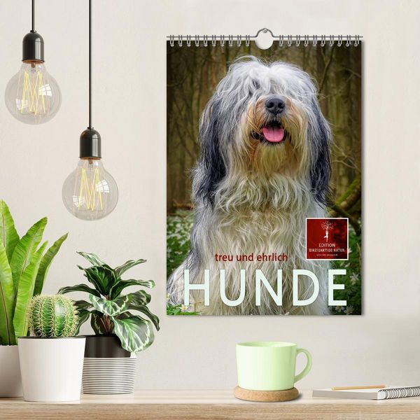 Produktbild: Hunde - treu und ehrlich (Wandkalender 2026 DIN A4 hoch), CALVENDO Monatskalender