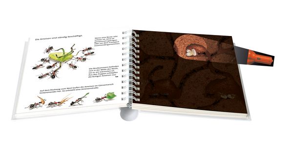 Produktbild: In den Nestern der Insekten