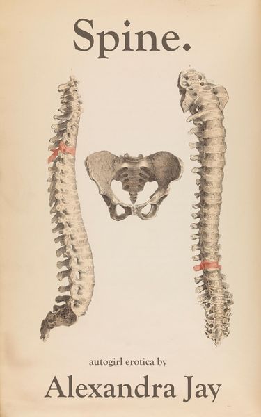 Produktbild: Spine.