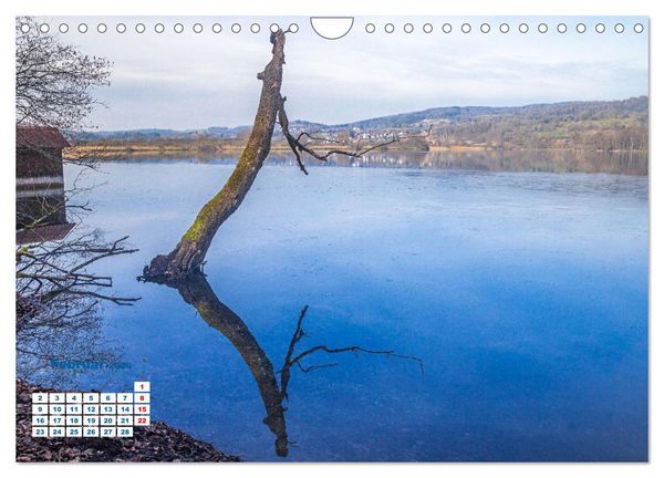 Produktbild: Markelfingen am Bodensee (Wandkalender 2026 DIN A4 quer), CALVENDO Monatskalender