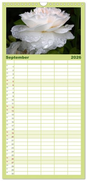 Produktbild: Familienplaner 2026 - Rosen Reigen im Garten mit 5 Spalten (Wandkalender, 21 x 45 cm) CALVENDO