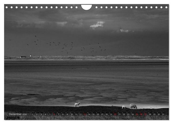 Produktbild: 54&deg;54'57"N 8&deg;19'51"E SYLT (Wandkalender 2026 DIN A4 quer), CALVENDO Monatskalender