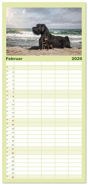 Produktbild: Familienplaner 2026 - Mit dem Riesenschnauzer durch das Jahr mit 5 Spalten (Wandkalender, 21 x 45 cm) CALVENDO