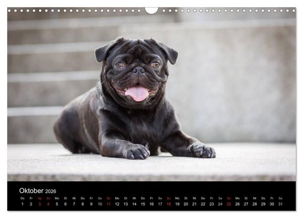 Produktbild: Vermopst durchs Jahr (Wandkalender 2026 DIN A3 quer), CALVENDO Monatskalender