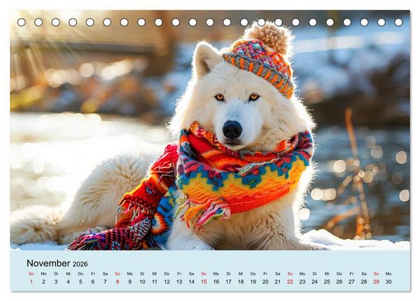Produktbild: Die sch&ouml;nsten Tiermodels. Schicke Outfits und High Fashion (Tischkalender 2026 DIN A5 quer), CALVENDO Monatskalender