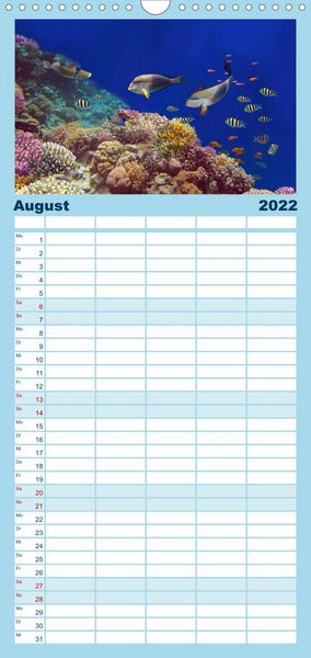 Produktbild: Riffleben - Einfach mal abtauchen - Familienplaner hoch (Wandkalender 2022 , 21 cm x 45 cm, hoch)