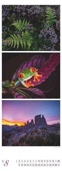 Produktbild: Colours of Nature - Triplets 2026 - Streifenkalender XXL 25x69 cm - Bildkalender im Hochformat - Naturkalender - Wandkalender - Wandplaner