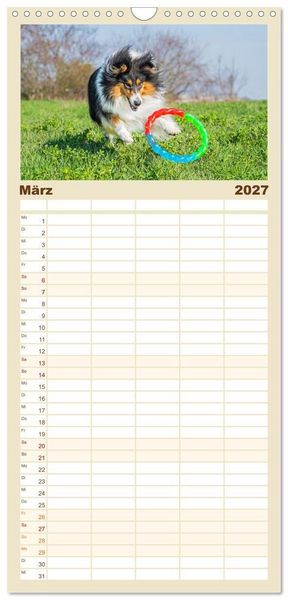Produktbild: Familienplaner 2027 - Faszinierende Rough Collies mit 5 Spalten (Wandkalender, 21 x 45 cm) CALVENDO