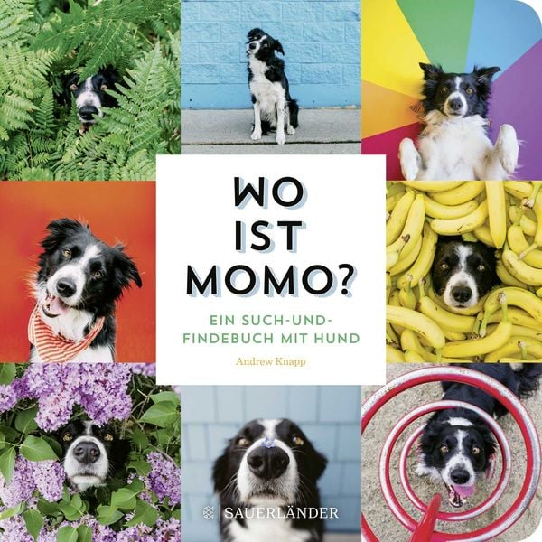 Produktbild: Wo ist Momo?