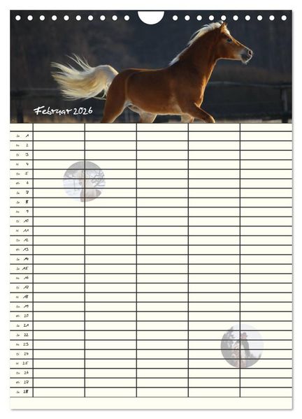 Produktbild: Haflinger Pferde - Stall- und Familienplaner 2026 (Wandkalender 2026 DIN A4 hoch), CALVENDO Monatskalender
