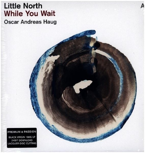 Produktbild: While You Wait, 1 Schallplatte + Download (Black Vinyl)