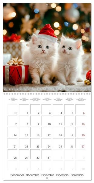 Produktbild: KITTEN Cuteness overload (Wall Calendar 2026 12 &times; 12 Inch) CALVENDO 12 Month Wall Calendar