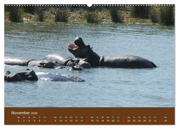 Produktbild: Namibia - faszinierende Menschen und Tiere (hochwertiger Premium Wandkalender 2026 DIN A2 quer), Kunstdruck in Hochglanz