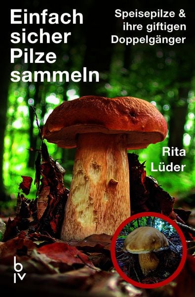 Produktbild: Einfach sicher Pilze sammeln