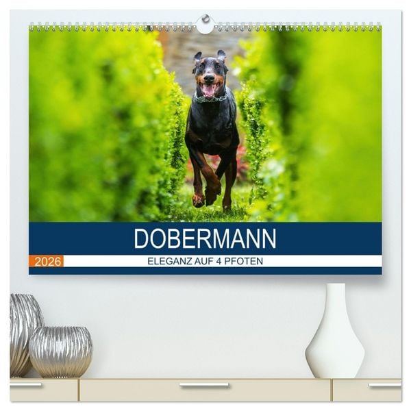 Produktbild: Dobermann 2026 (hochwertiger Premium Wandkalender 2026 DIN A2 quer), Kunstdruck in Hochglanz