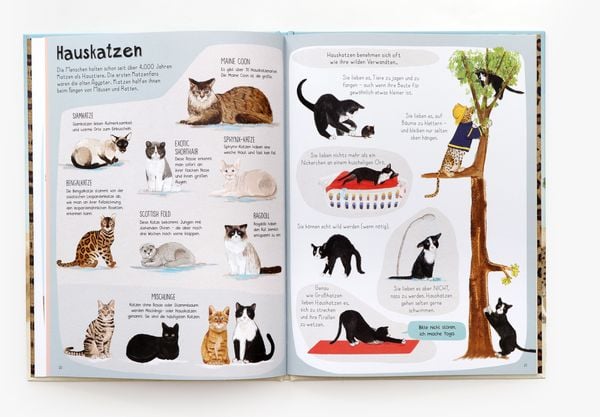 Produktbild: Das Katzen-Buch