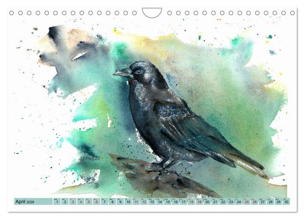 Produktbild: The Fascinating World of Birds in Watercolour (Wall Calendar 2026 DIN A4 landscape), CALVENDO 12 Month Wall Calendar