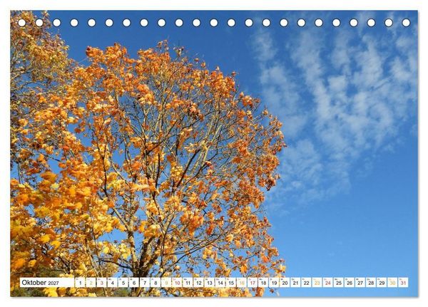 Produktbild: 12 Monate Natur (Tischkalender 2027 DIN A5 quer), CALVENDO Monatskalender