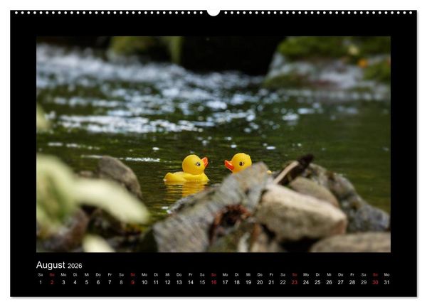 Produktbild: Enten-Rennen (hochwertiger Premium Wandkalender 2026 DIN A2 quer), Kunstdruck in Hochglanz