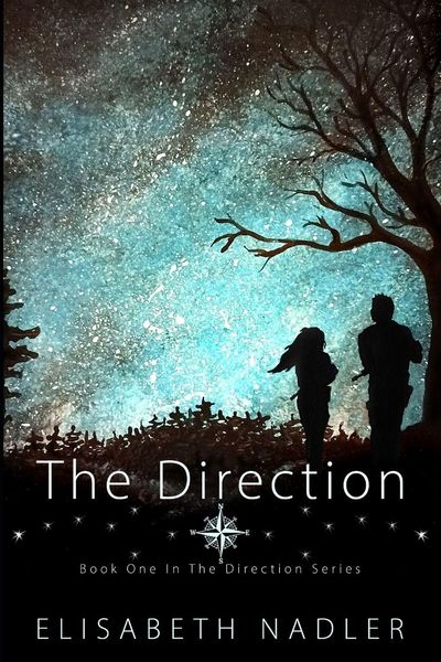 Produktbild: The Direction
