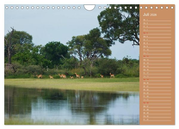 Produktbild: Afrika - Faszinierende Tierwelt (Wandkalender 2026 DIN A4 quer), CALVENDO Monatskalender