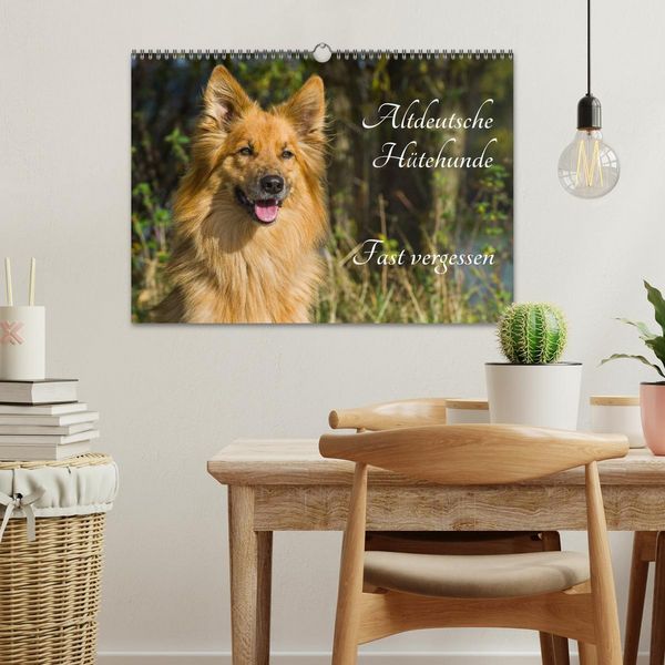 Produktbild: Altdeutsche H&uuml;tehunde - Fast vergessen (Wandkalender 2026 DIN A3 quer), CALVENDO Monatskalender