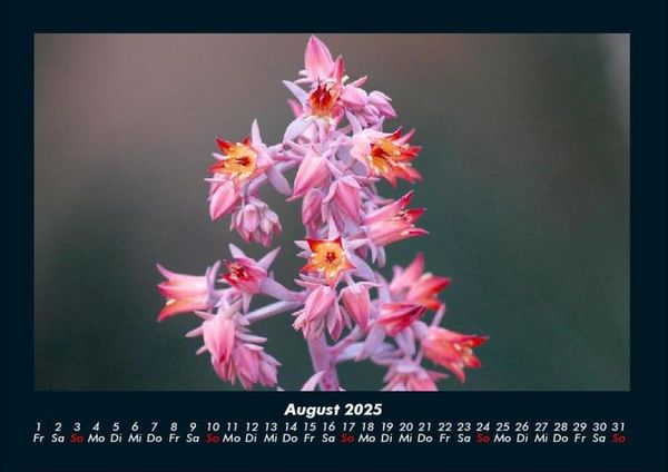 Produktbild: Bilder der Natur 2025 Fotokalender DIN A4
