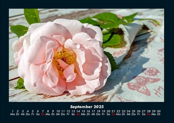 Produktbild: Blumentraum 2025 Fotokalender DIN A4