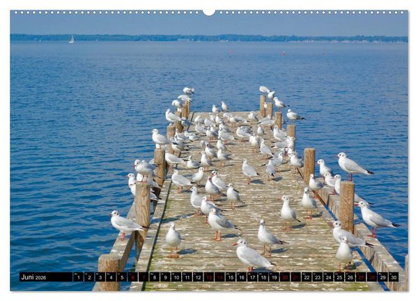 Produktbild: Das Meer bei Steinhude (Wandkalender 2026 DIN A2 quer), CALVENDO Monatskalender