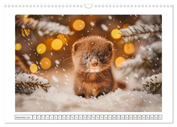 Produktbild: Kleine freche Nerze (Wandkalender 2026 DIN A3 quer), CALVENDO Monatskalender