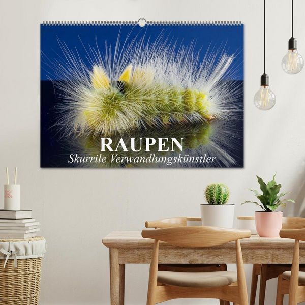 Produktbild: Raupen - Skurrile Verwandlungsk&uuml;nstler (Wandkalender 2026 DIN A2 quer), CALVENDO Monatskalender