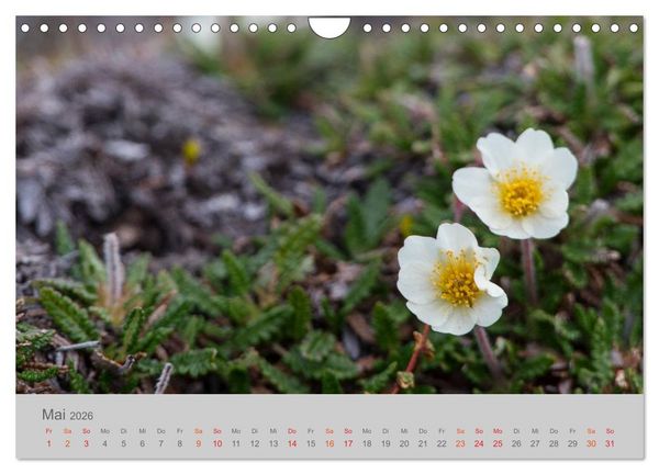 Produktbild: Spitzbergen 80&deg; Nord (Wandkalender 2026 DIN A4 quer), CALVENDO Monatskalender