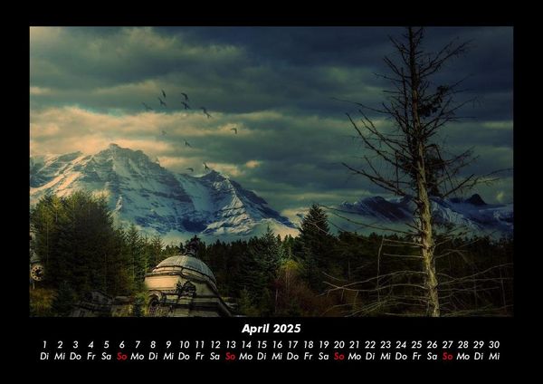 Produktbild: B&auml;ume 2025 Fotokalender DIN A3